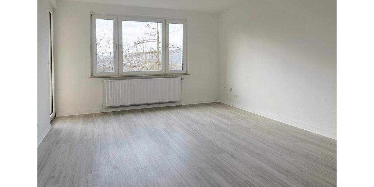 Etagenwohnung Werdohl - 3 Zimmer, 66 m&sup2;, 374&euro; | Angebot:24438654