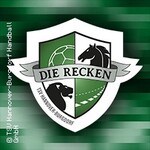 TSV Hannover-Burgdorf - Viertelfinale | Rückspiel