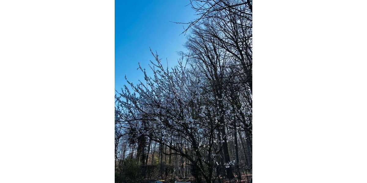 Einfamilienhaus Dortmund Hombruch - 5 Zimmer, 173 m&sup2;, 797.000&euro; | Angebot:25643532