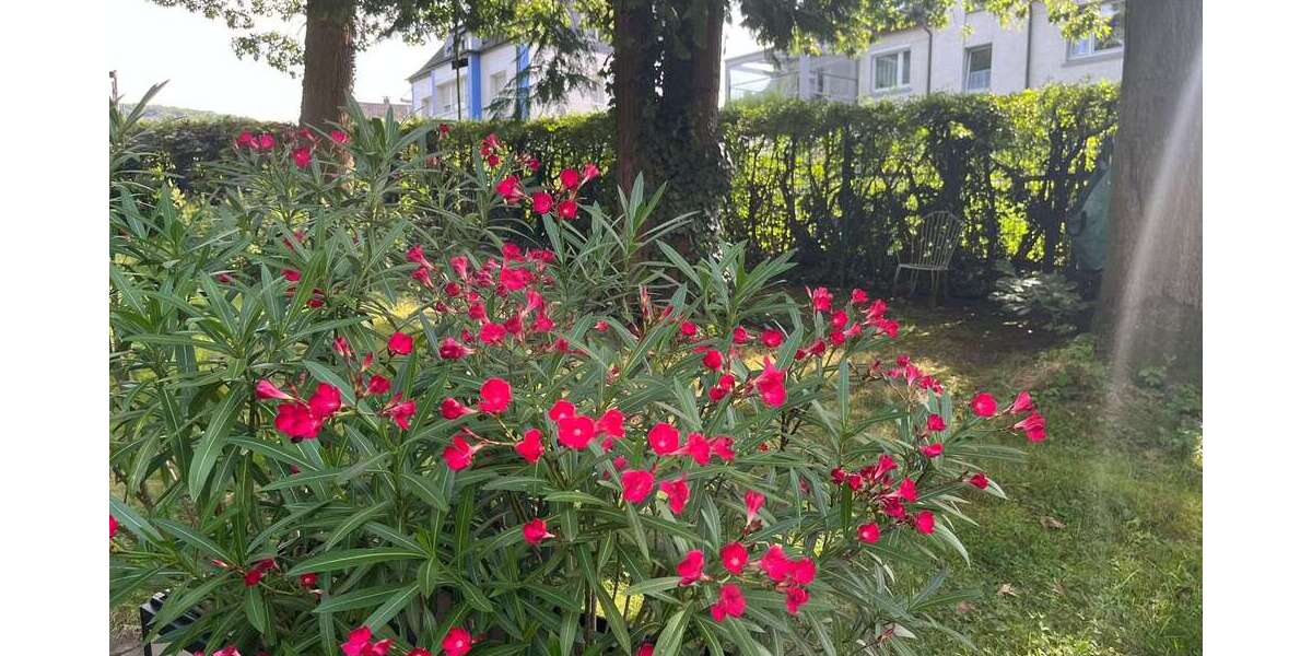 Grundstück Hagen Dahl - 133.000&euro; | Angebot:22440704